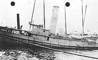 Photo # NH 102046:  S.S. Luckenbach No. 4
